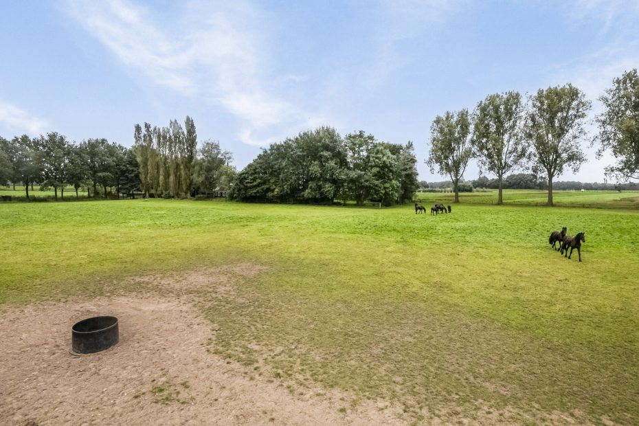 Rootakkers 59 foto 17